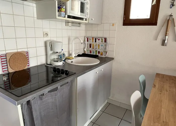 Villa 6p Climatisee Avec Jardin, Piscine, Proche A Saint-cyprien - Fr-1-793-20