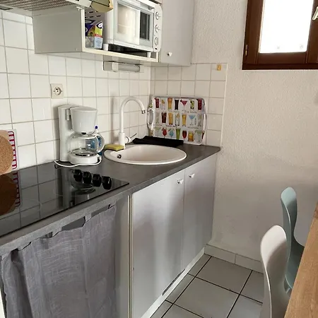 Villa 6p Climatisée Avec Jardin, Piscine, Proche à Saint-cyprien - Fr-1-793-20