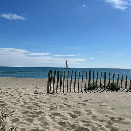 6p Climatisée Avec Jardin, Piscine, Proche à Saint-cyprien - Fr-1-793-20