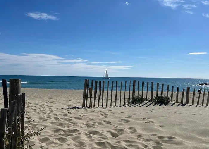 6p Climatisee Avec Jardin, Piscine, Proche A Saint-cyprien - Fr-1-793-20